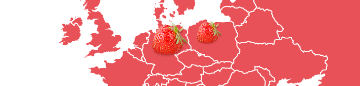 Fruchtlandkarte-Erdbeere