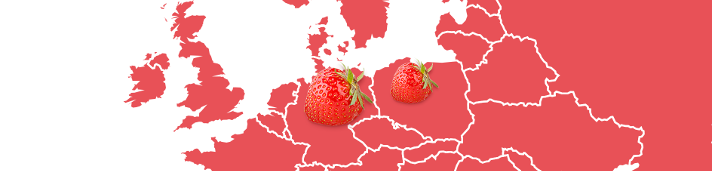 Schwartau Fruchtlandkarte Erdbeere