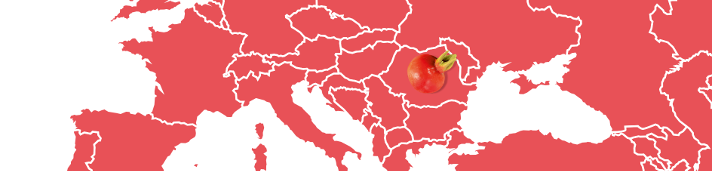 Schwartau Fruchtlandkarte Hagebutte