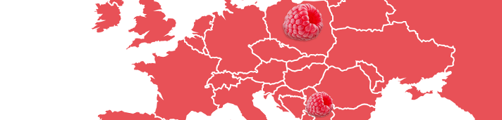 Schwartau Fruchtlandkarte Himbeere