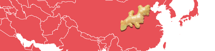 Schwartau Fruchtlandkarte Ingwer
