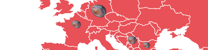 Schwartau Fruchtlandkarte Pflaume