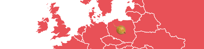 Schwartau Fruchtlandkarte Stachelbeere