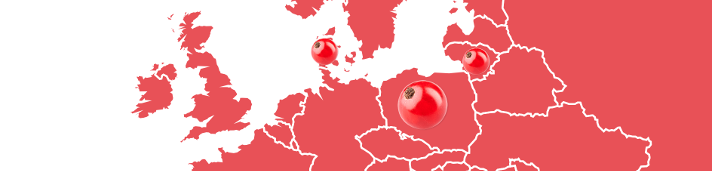 Schwartau Fruchtlandkarte Rote Johannisbeere