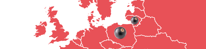 Schwartau Fruchtlandkarte Schwarze Johannisbeere