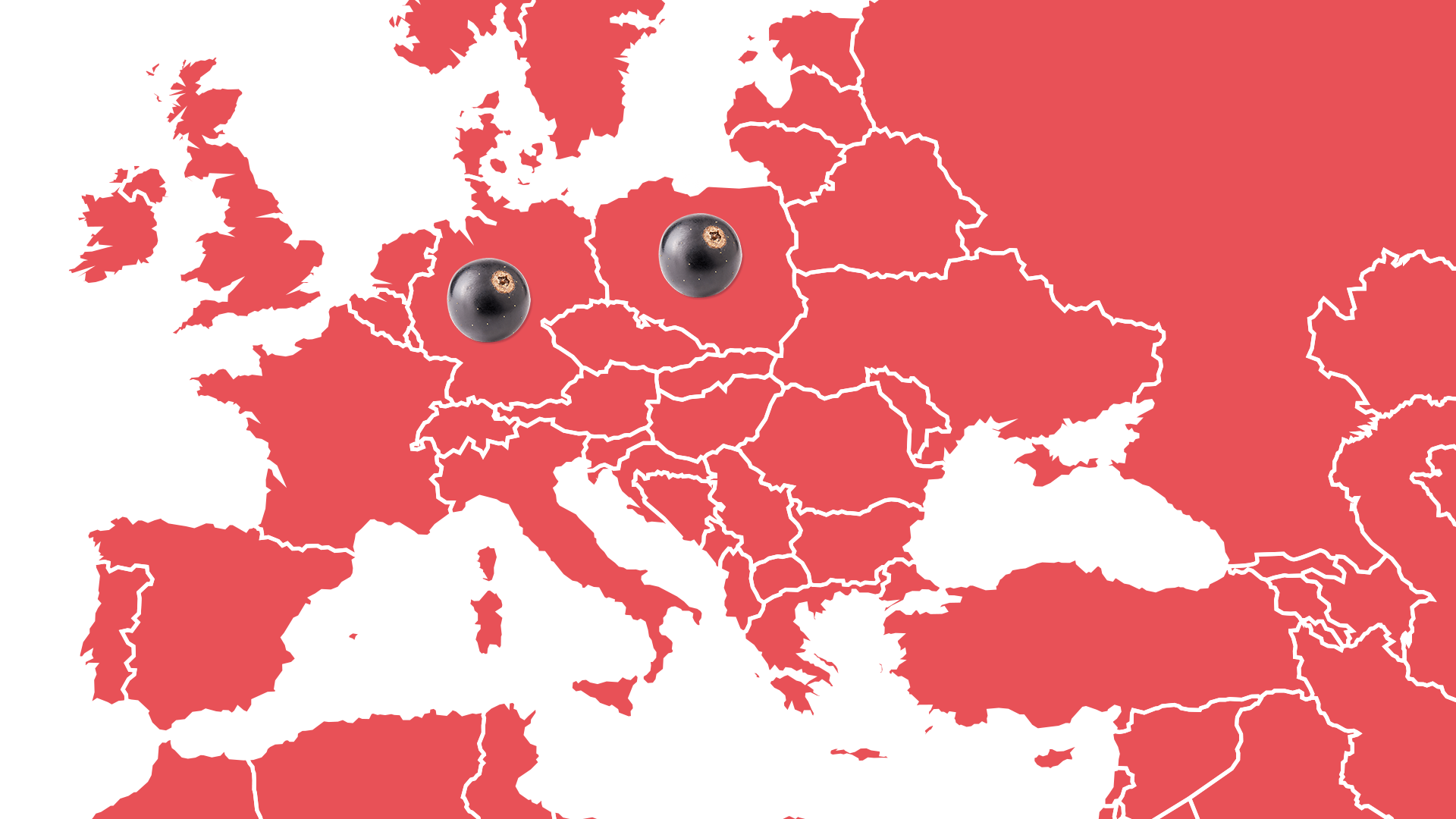 Schwartau Fruchtlandkarte Schwarze Johannisbeere
