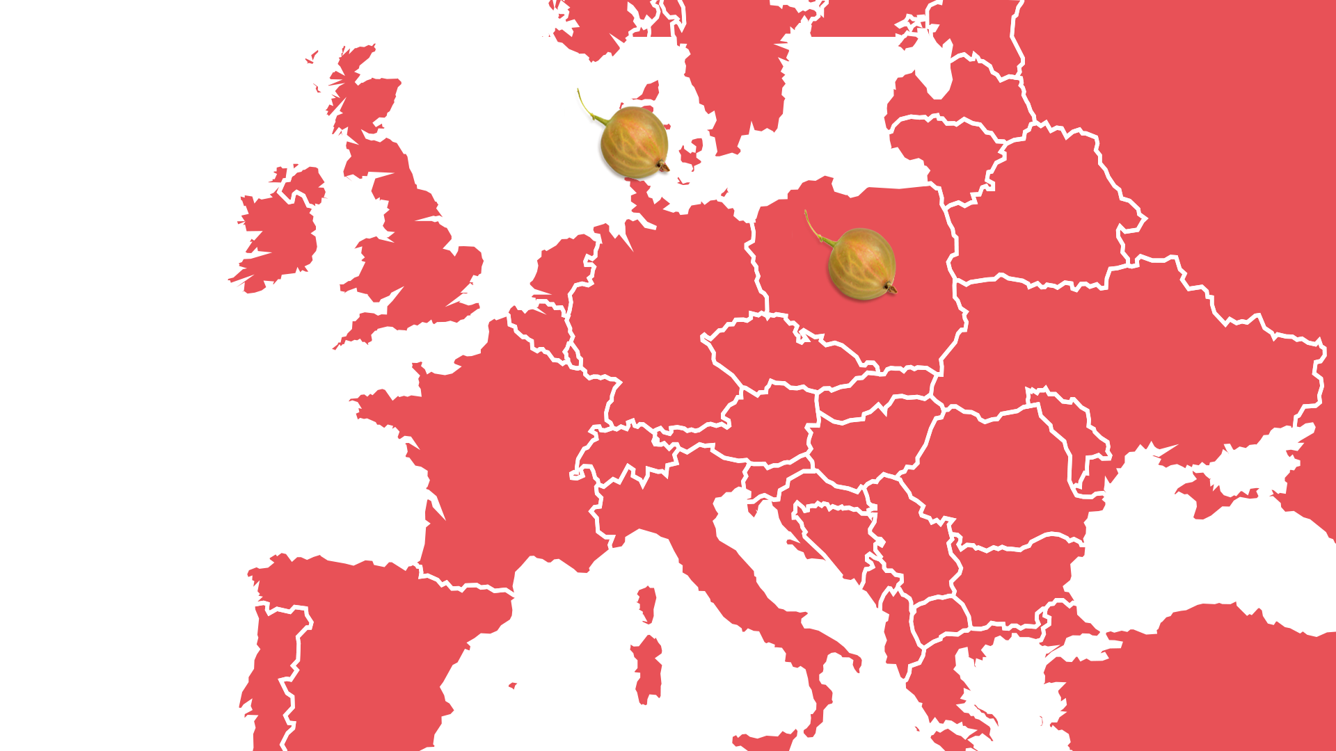 Schwarau Fruchtlandkarte Stachelbeere