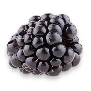 Schwartau Brombeere