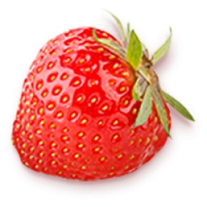 Schwartau Erdbeere