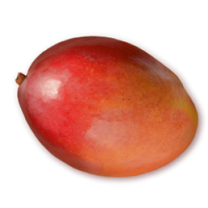 Schwartau Mango