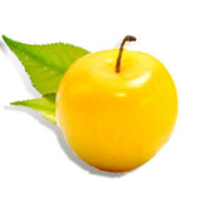 Schwartau Mirabelle