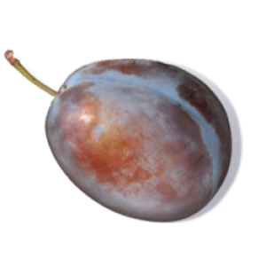 Schwartau Pflaume