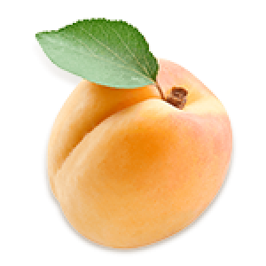 Schwartau Aprikose
