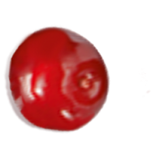 Schwartau Preiselbeere