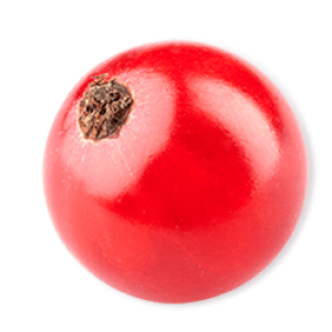 Schwartau Rote Johannisbeere