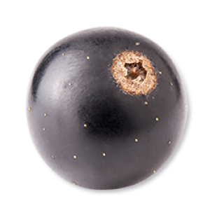 Schwartau Schwarze Johannisbeere