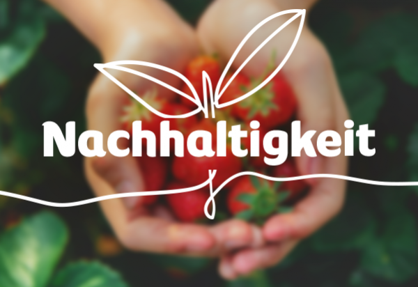 nachhaltigkeit